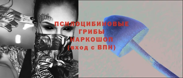 индика Белоозёрский