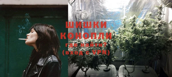 индика Белоозёрский