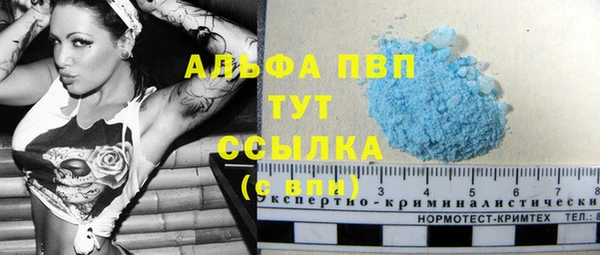 СК Белокуриха