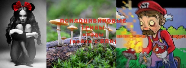 прущая мука Беломорск